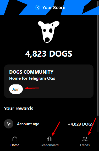 Dogs community - doghouse telegram bot