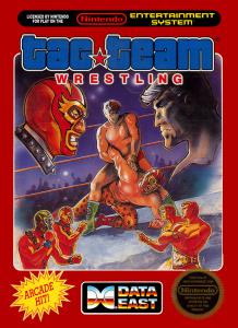 Постер Tag Team Wrestling для NES